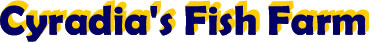Text